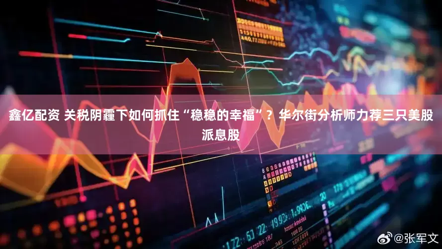 鑫亿配资 关税阴霾下如何抓住“稳稳的幸福”？华尔街分析师力荐三只美股派息股